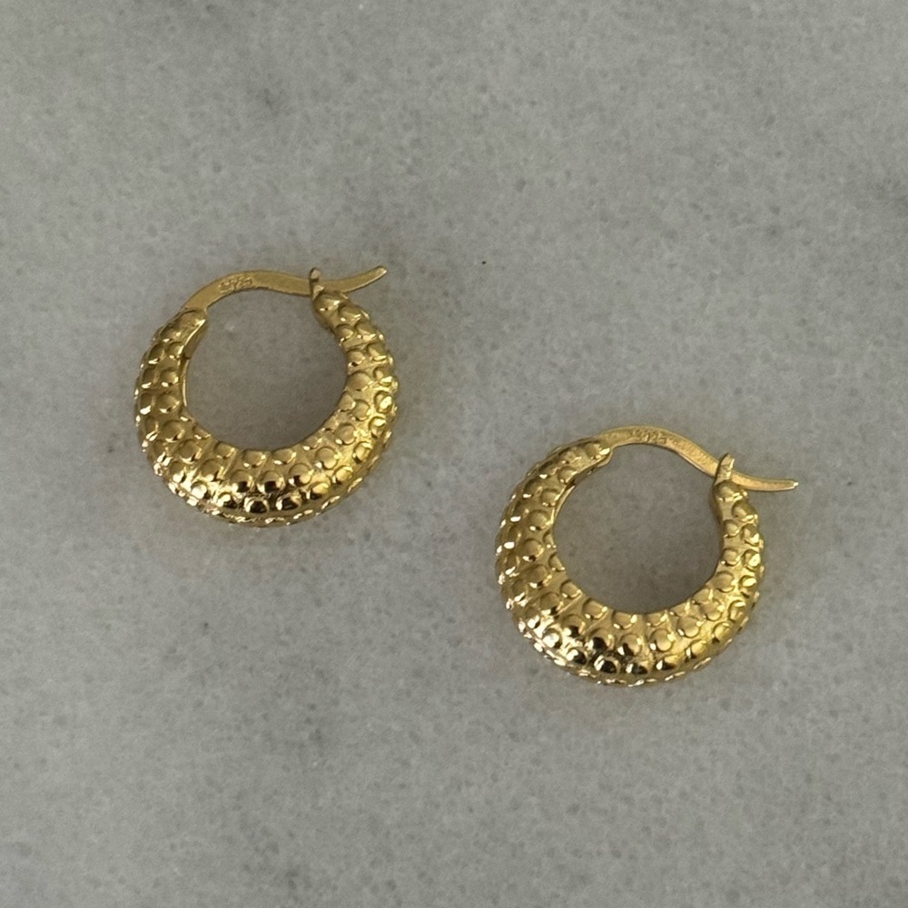 Gold Textured Chunky Hoop Earrings Earrings
Brand New